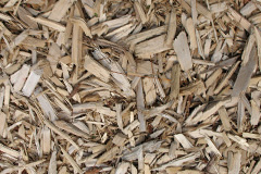 biomass boilers Llanbedrgoch